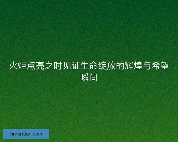火炬点亮之时见证生命绽放的辉煌与希望瞬间